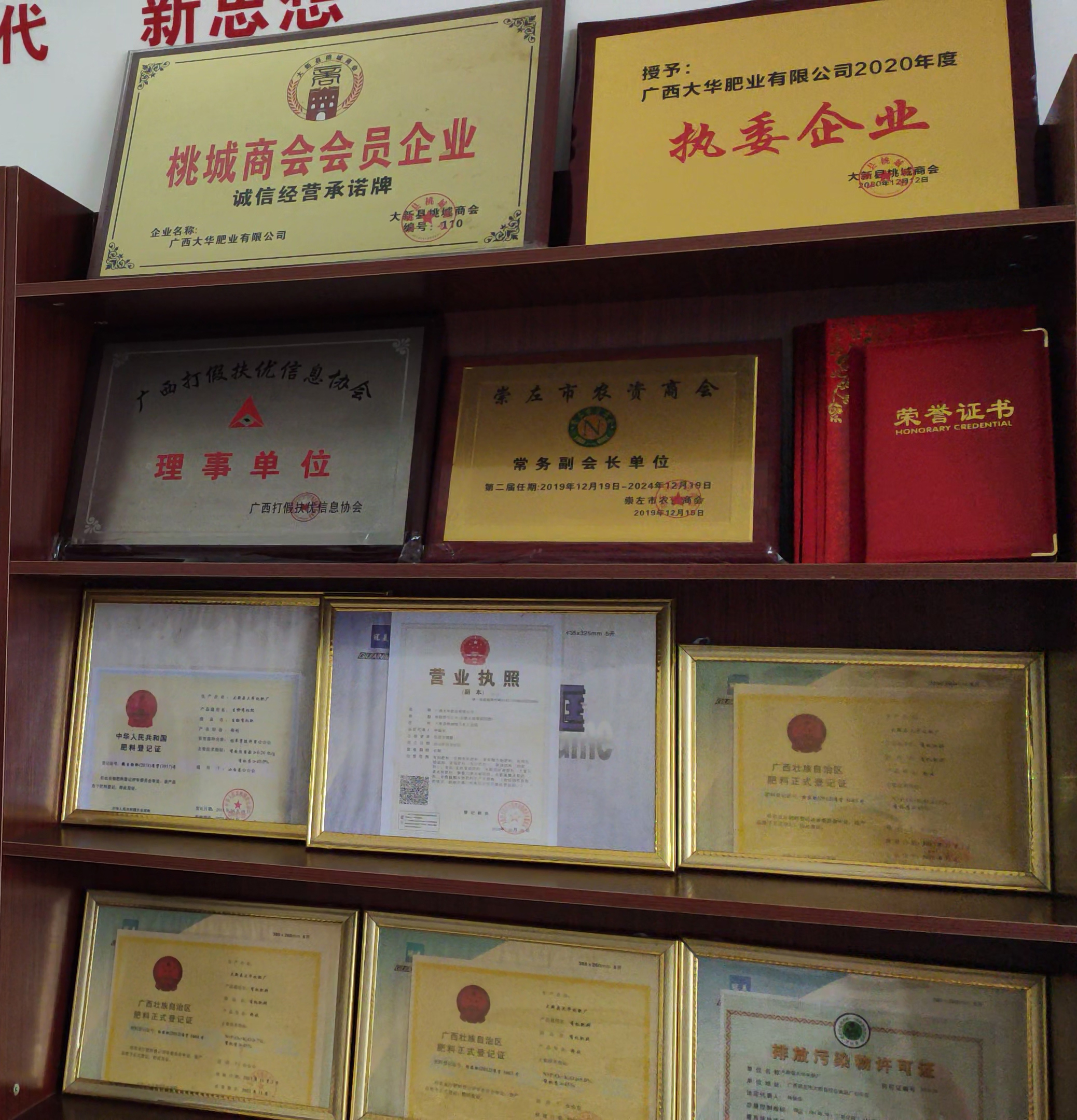 廣西(xī)大(dà)華肥業(yè)