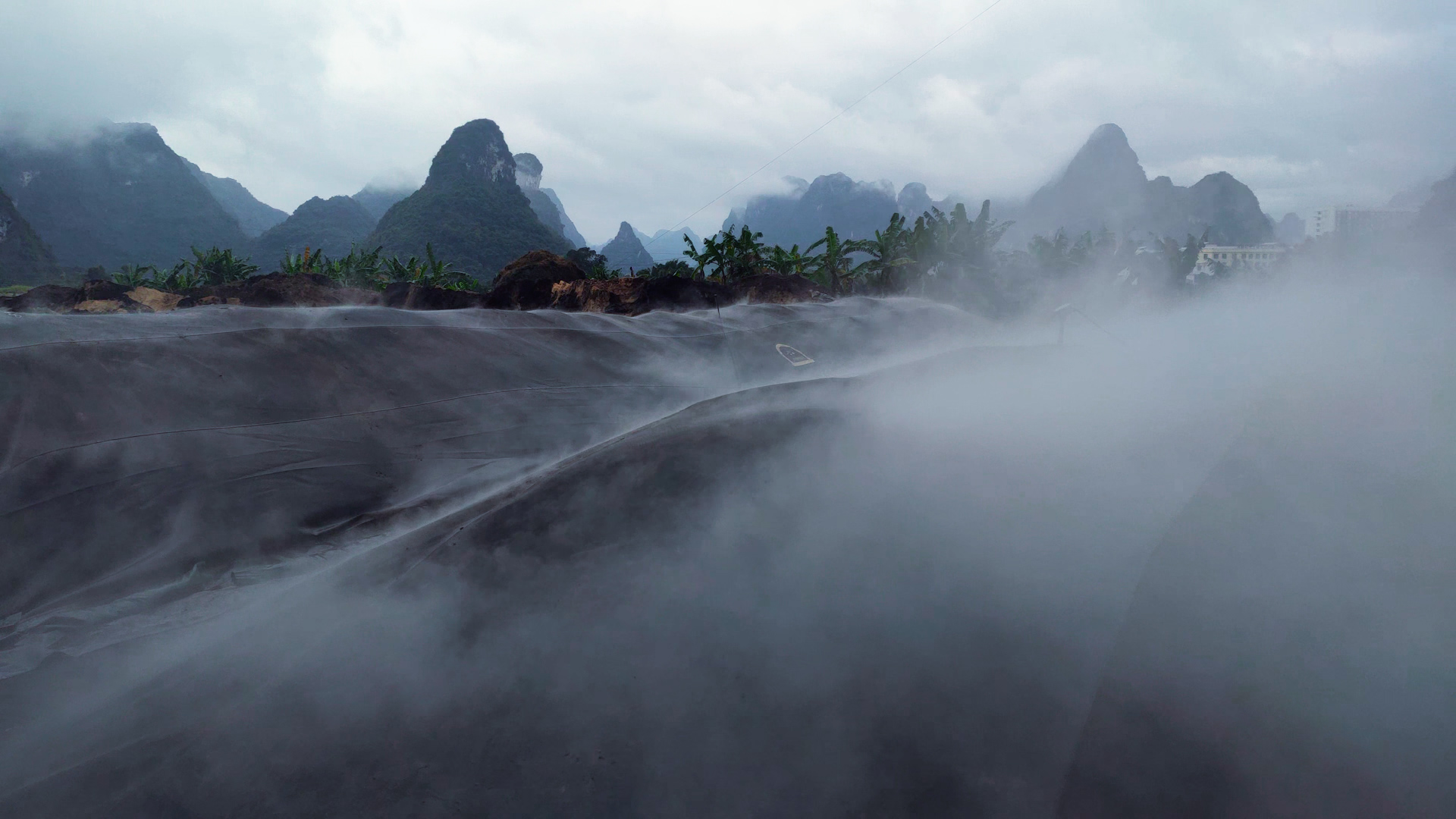 廣西(xī)大(dà)華肥業(yè)