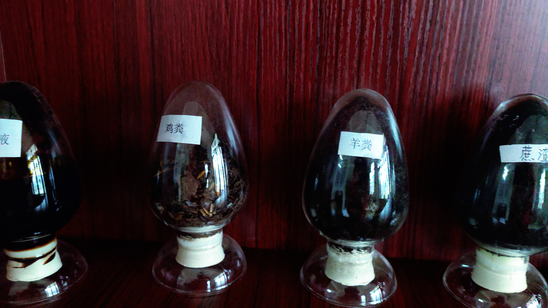 廣西(xī)大(dà)華肥業(yè)