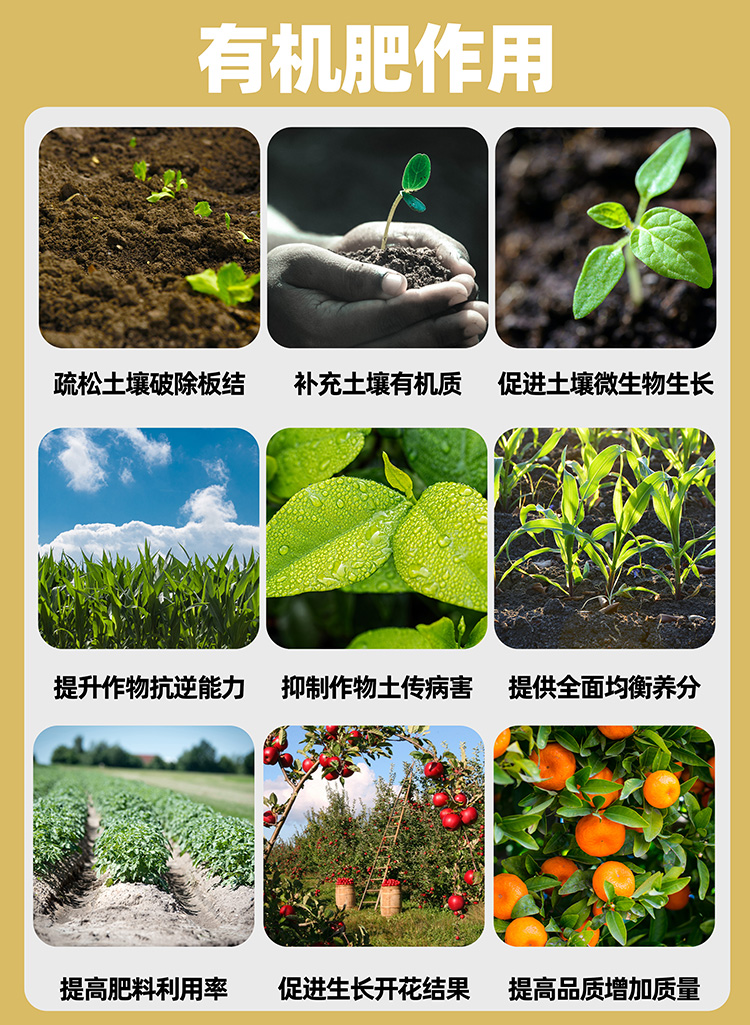 有(yǒu)機(jī)肥料