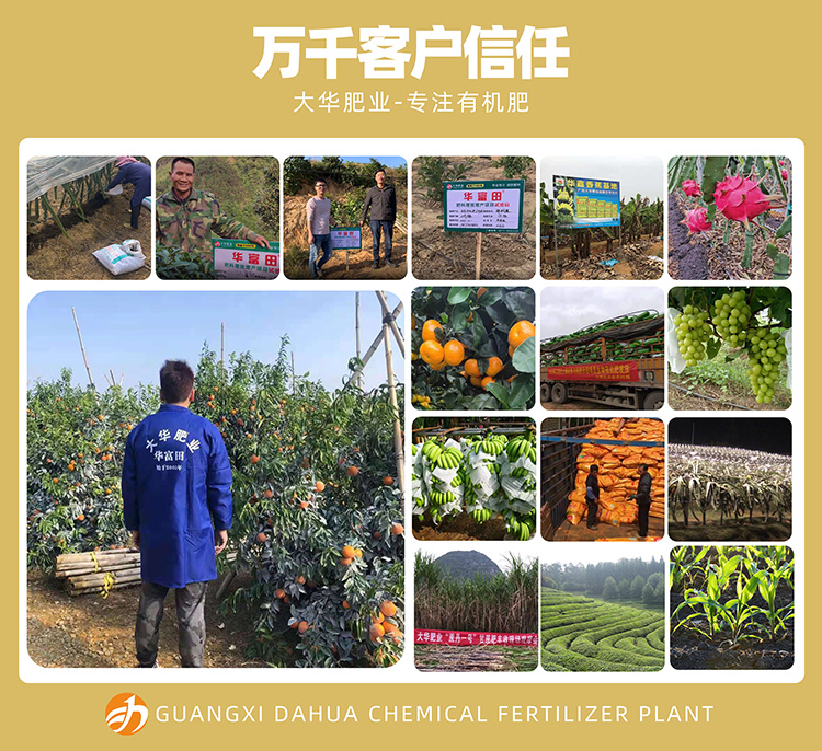 1611827023496522.jpg 有(yǒu)機(jī)無機(jī)複混肥料