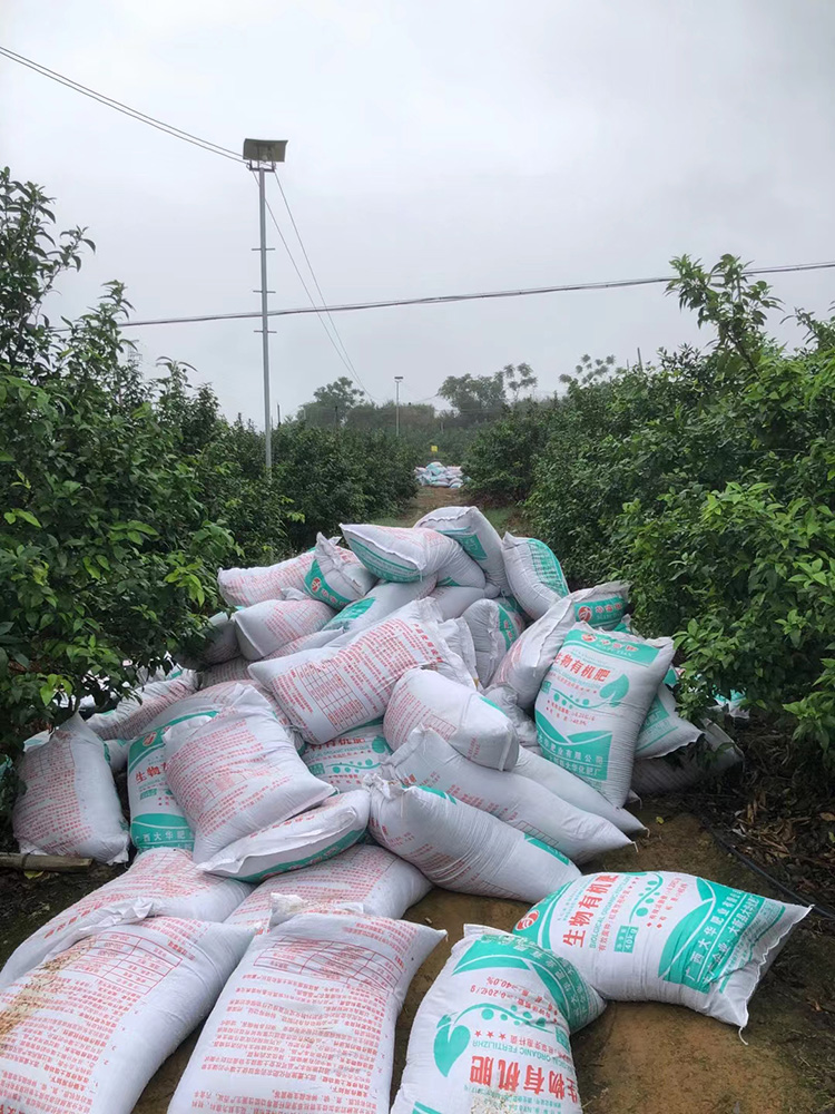 1618219236428732.jpg 基地(dì)