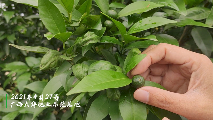 1622199782689882.jpg 示範基地(dì)