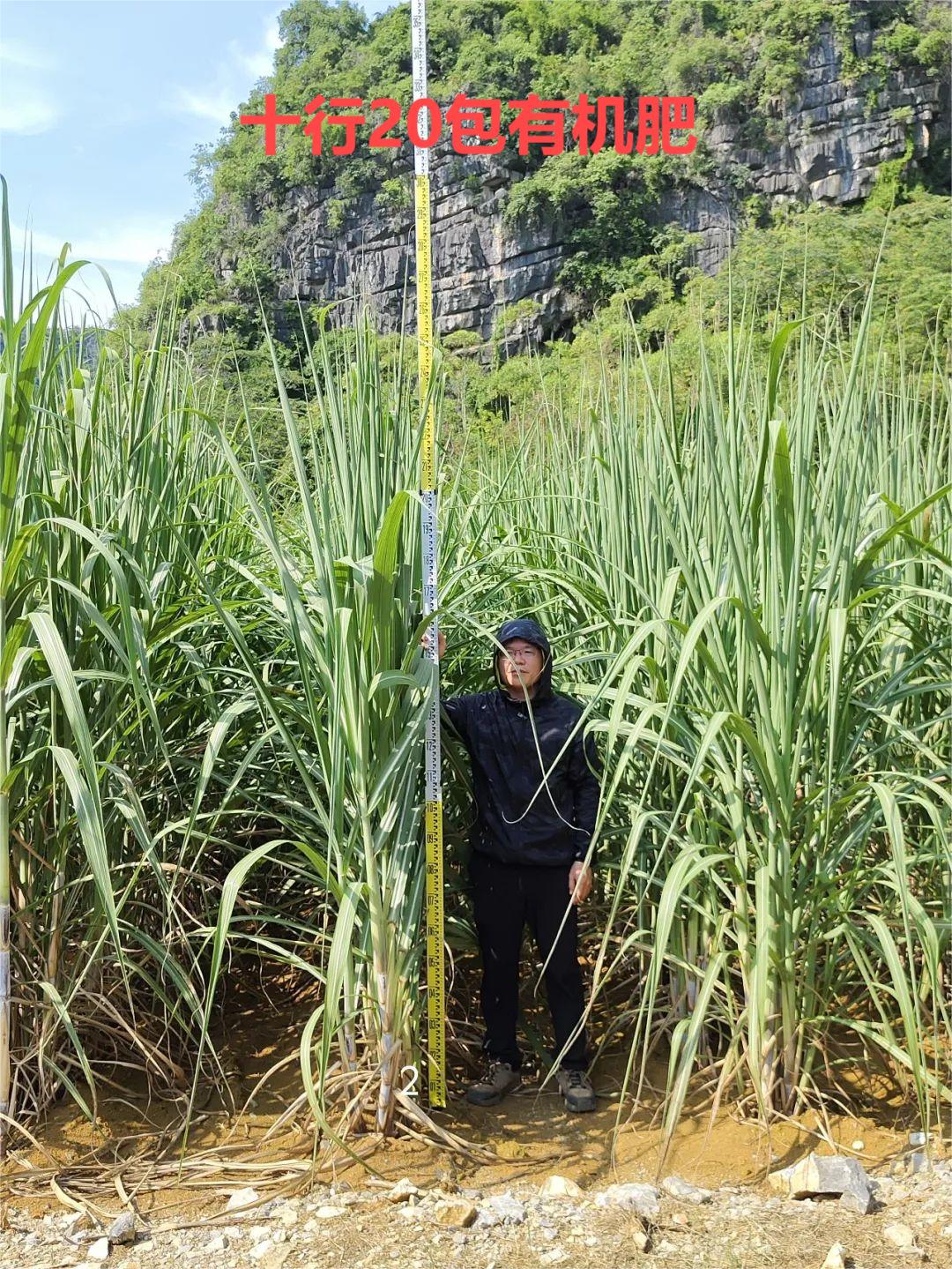 1722840748427832.jpg 有(yǒu)機(jī)肥