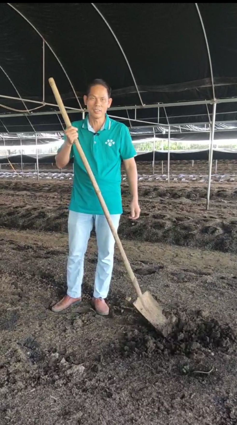 有(yǒu)機(jī)肥原料