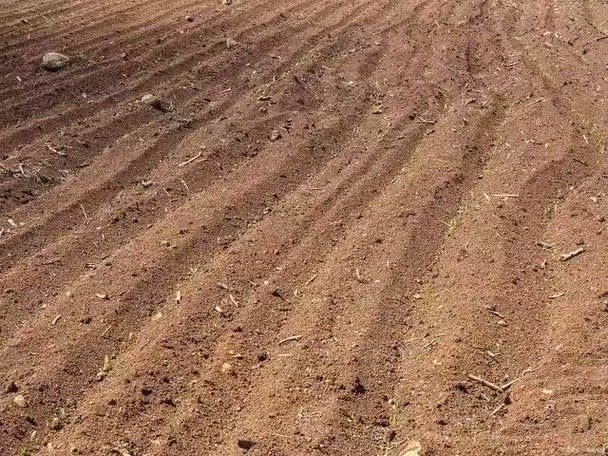 1730336620306409.jpg 有(yǒu)機(jī)肥定制(zhì)