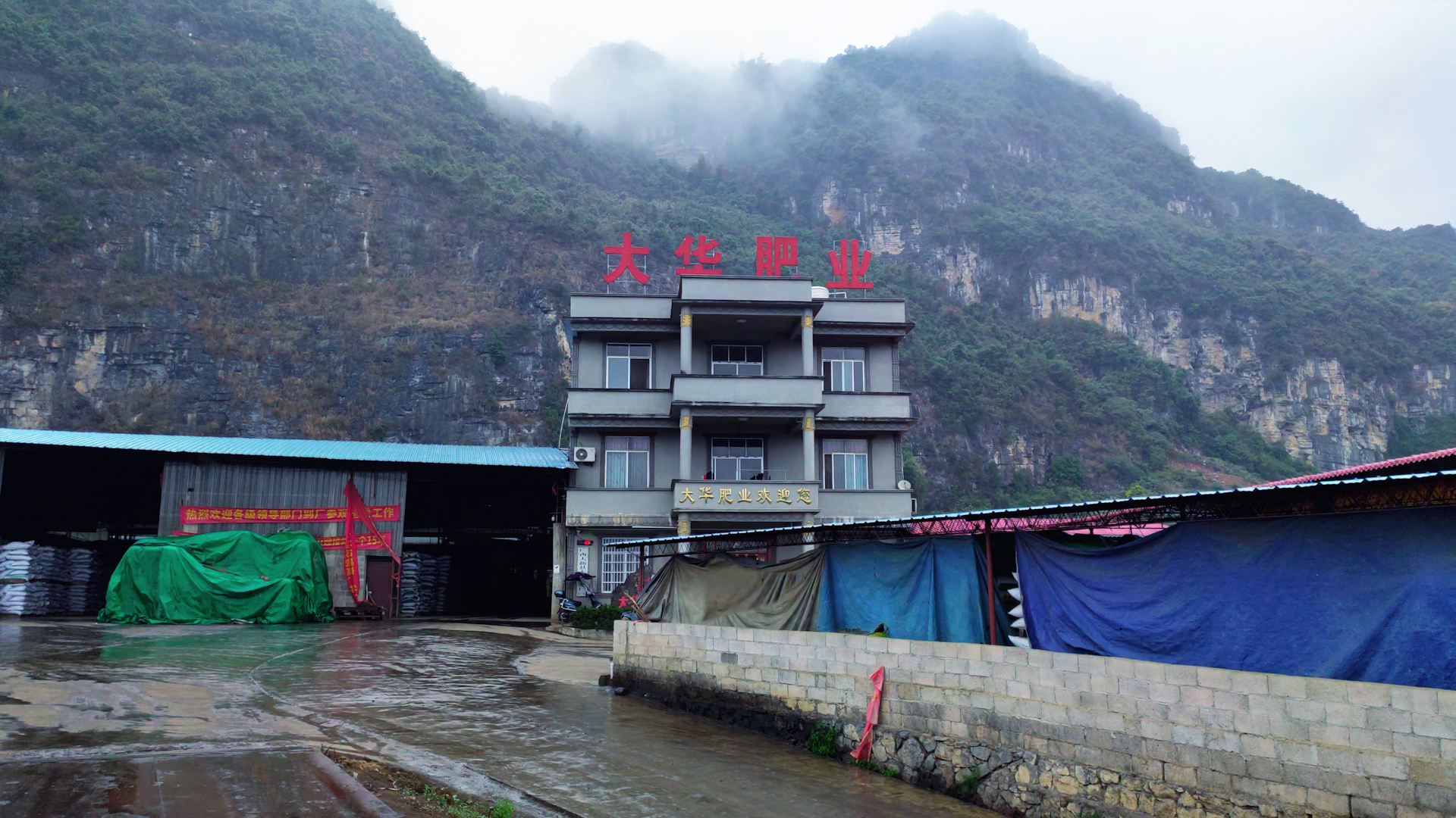 廣西(xī)大(dà)華肥業(yè)-簡介