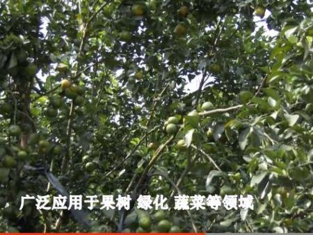 果樹(shù)施用(yòng)有(yǒu)機(jī)肥 果樹(shù)施用(yòng)有(yǒu)機(jī)肥