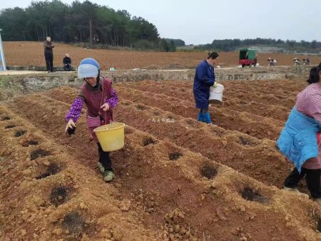 用(yòng)戶施肥 用(yòng)戶施肥